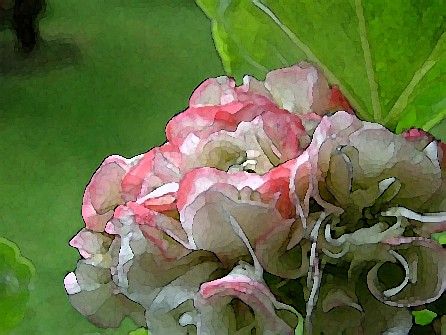 appleblossom.jpg